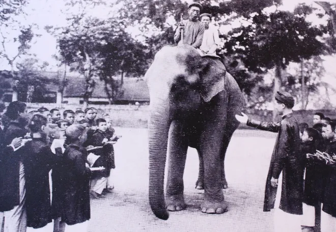 Giáo dục Việt Nam cách đây hơn 100 năm ảnh 8