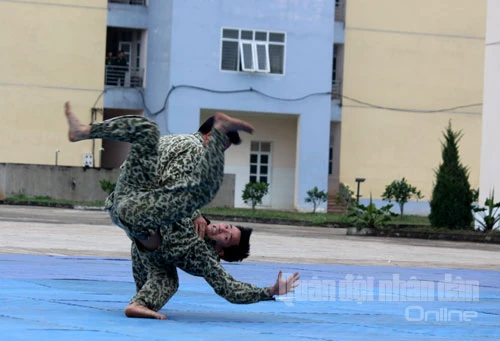 Mãn nhãn xem bộ đội Đặc công trình diễn võ thuật ảnh 3 Mãn nhãn xem bộ đội Đặc công trình diễn võ thuật ảnh 3