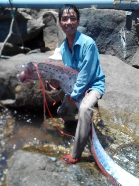 Năm 2012, lần đầu tiên ngư dân ở An Giang bắt được con cá tra dầu nặng 72kg từ sông Hậu.