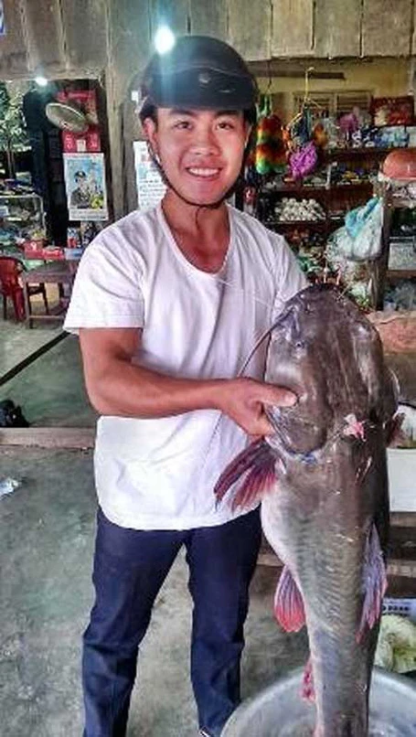 Năm 2012, lần đầu tiên ngư dân ở An Giang bắt được con cá tra dầu nặng 72kg từ sông Hậu.