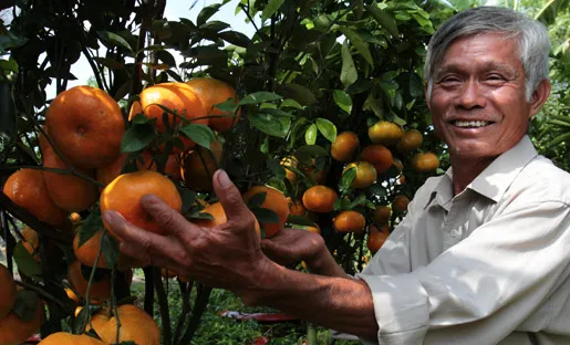 Đồng Tháp, nông dân, triệu phú, cây cảnh, tết