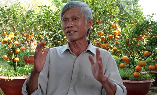 Đồng Tháp, nông dân, triệu phú, cây cảnh, tết