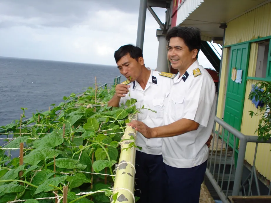 Mầm xuân từ những nhà giàn ảnh 3