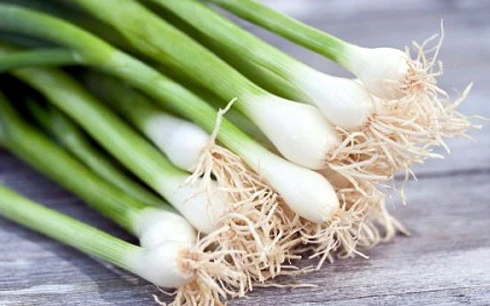 Những điều cần tránh khi ăn hành ảnh 1