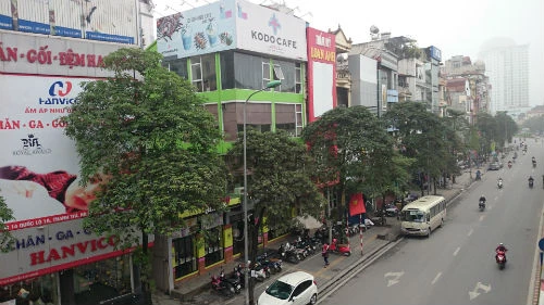 Cận cảnh hàng cây xanh trên đường đẹp nhất Việt Nam trước giờ bị đốn hạ