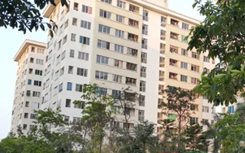 Bé 4 tháng tuổi bị mẹ ruột đang điều trị tâm thần sát hại ảnh 1 Bé 4 tháng tuổi bị mẹ ruột đang điều trị tâm thần sát hại ảnh 1