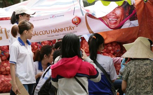 'Giải cứu' hành tây giúp nông dân Đà Lạt ảnh 3