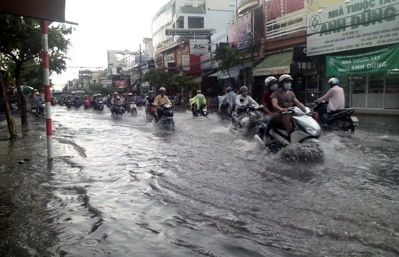 Mưa nửa giờ, đường ngoại ô TP.HCM ngập nửa mét ảnh 1