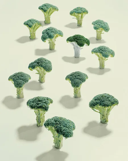 17 thực phẩm tăng cường tuổi thọ ảnh 2 17 thực phẩm tăng cường tuổi thọ ảnh 2