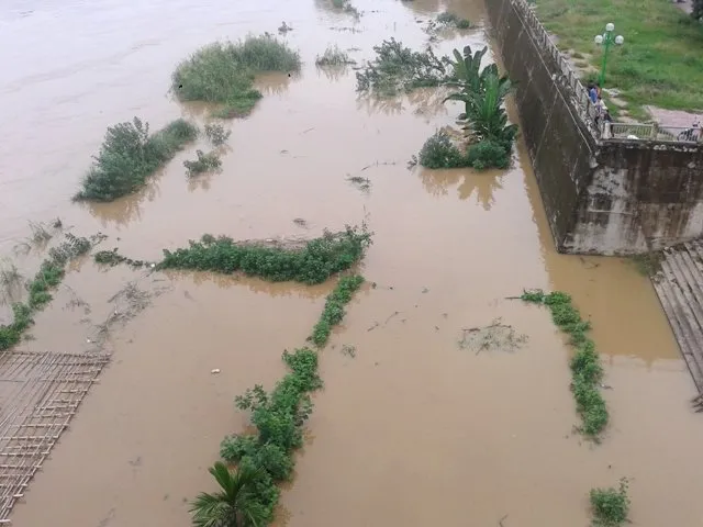 Một vườn rau của người dân bị nước lũ nhấn chìm - Ảnh: Hồng Thảo Một vườn rau của người dân bị nước lũ nhấn chìm - Ảnh: Hồng Thảo