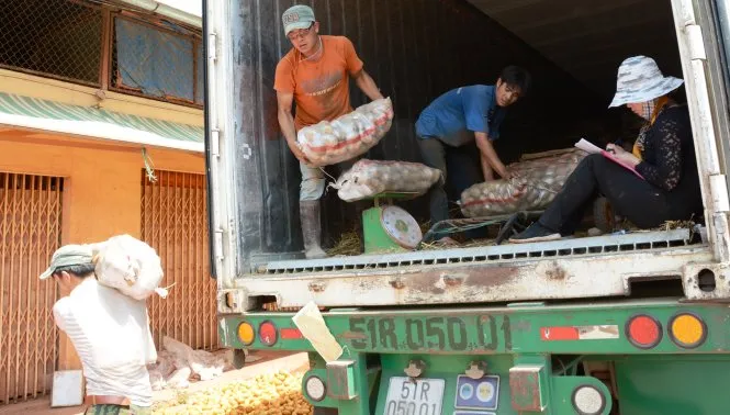 Khoai tây Trung Quốc ở thời điểm còn được nhập vào chợ nông sản Đà Lạt
