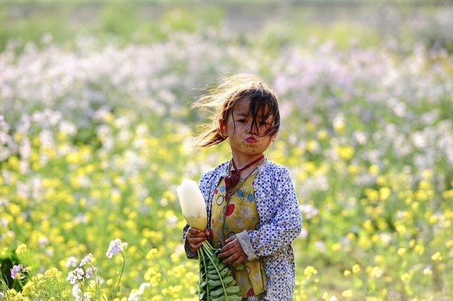  &nbsp;Em bé ở Sủng Là (Hà Giang) 