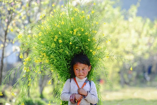  &nbsp;Em bé ở Sủng Là (Hà Giang) 