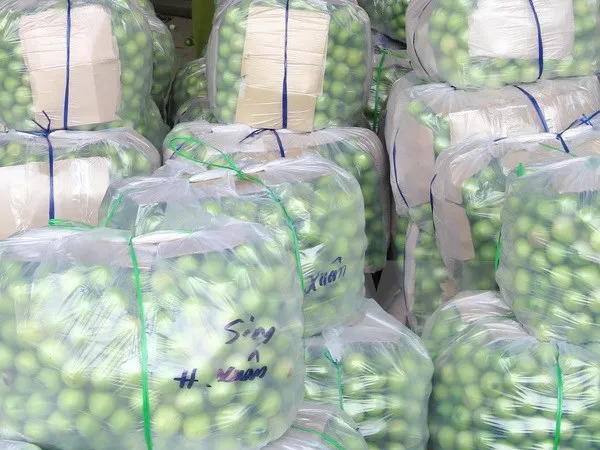 Thực hư chuyện 'táo Ninh Thuận giá chỉ 1.000 đồng/kg' ảnh 1