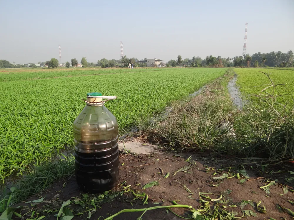 Bắt quả tang tưới nhớt ở 'thủ phủ' rau muống Sài Gòn ảnh 1 Bắt quả tang tưới nhớt ở 'thủ phủ' rau muống Sài Gòn ảnh 1