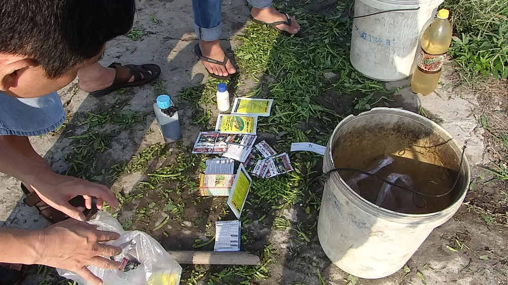 Bắt quả tang tưới nhớt ở 'thủ phủ' rau muống Sài Gòn ảnh 2 Bắt quả tang tưới nhớt ở 'thủ phủ' rau muống Sài Gòn ảnh 2