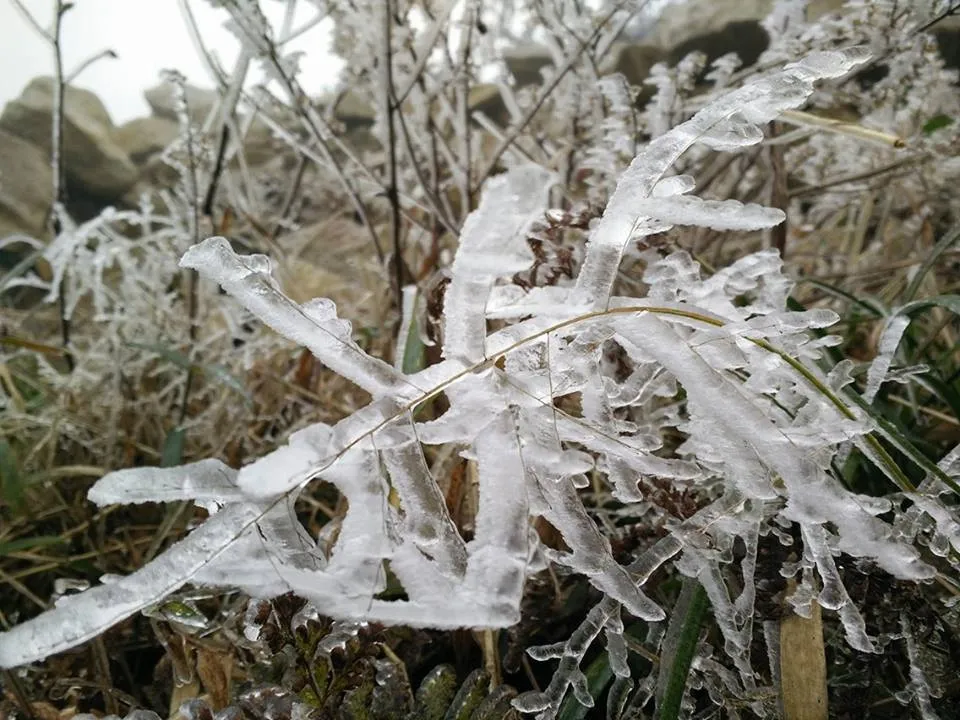 Nhiều nơi ở miền Bắc chìm trong băng tuyết lịch sử âm 6-8 độ C ảnh 23