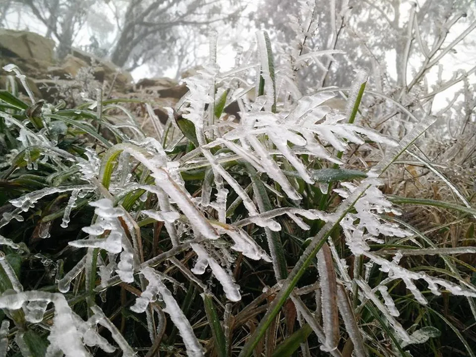 Nhiều nơi ở miền Bắc chìm trong băng tuyết lịch sử âm 6-8 độ C ảnh 22