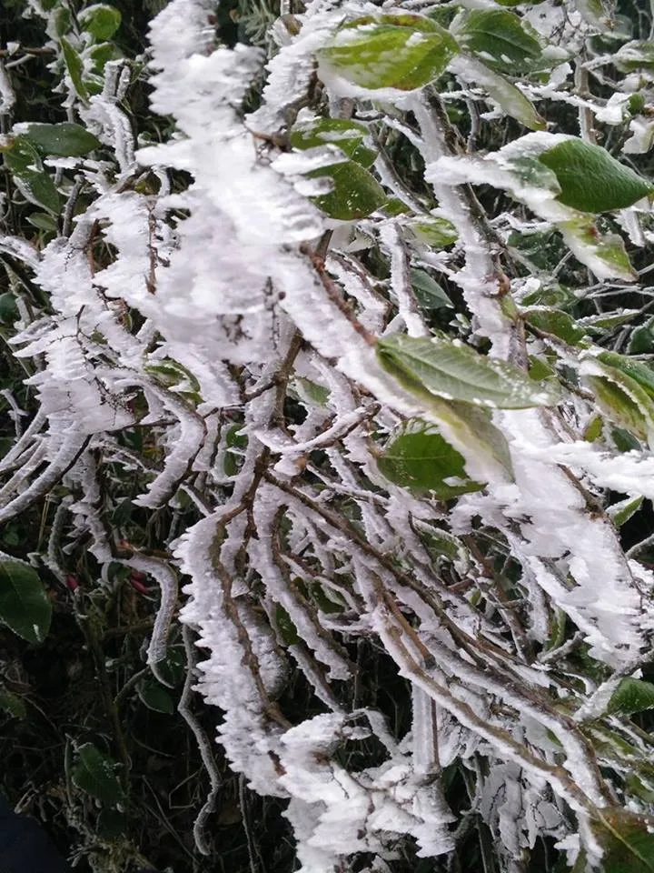 Nhiều nơi ở miền Bắc chìm trong băng tuyết lịch sử âm 6-8 độ C ảnh 20