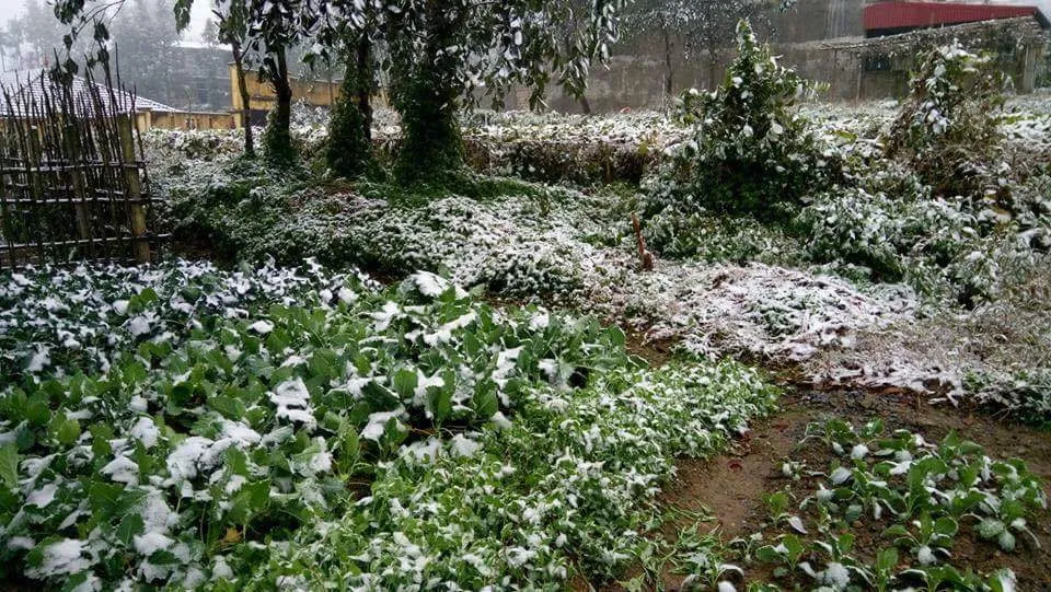 Nhiều nơi ở miền Bắc chìm trong băng tuyết lịch sử âm 6-8 độ C ảnh 12