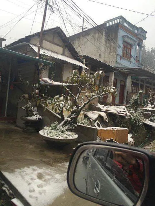 Nhiều nơi ở miền Bắc chìm trong băng tuyết lịch sử âm 6-8 độ C ảnh 9