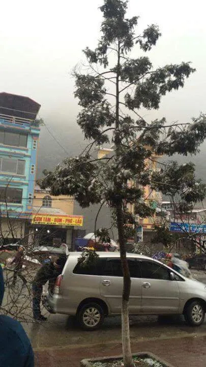 Nhiều nơi ở miền Bắc chìm trong băng tuyết lịch sử âm 6-8 độ C ảnh 8