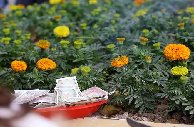 Tiền lẻ rải khắp nơi ở đền chùa Hà Nội ảnh 8