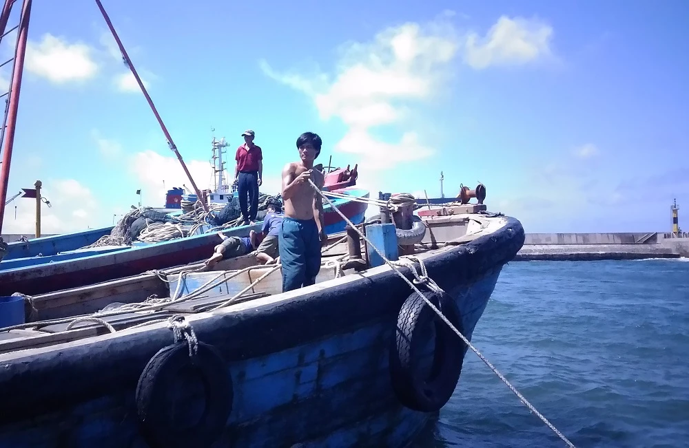 Tìm kiếm Casa 212: Bạch Long Vĩ huy động lực lượng tối đa ảnh 10