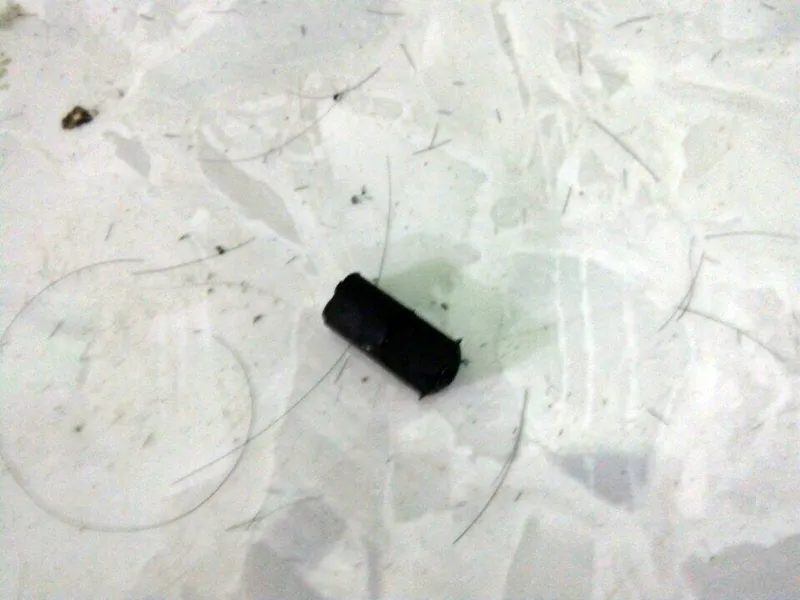 Một công dân phản ánh bị thiếu tá công an bắn vào lưng ảnh 4