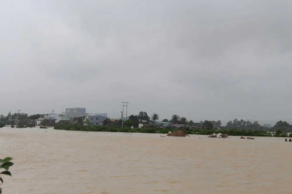 Người dân Bình Định trắng đêm chạy lũ ảnh 1 Người dân Bình Định trắng đêm chạy lũ ảnh 1