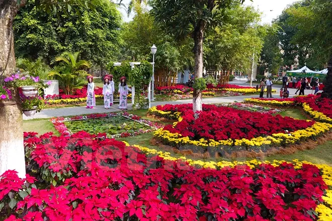 Thích thú với lễ hội hoa xuân lớn nhất miền Bắc ảnh 5