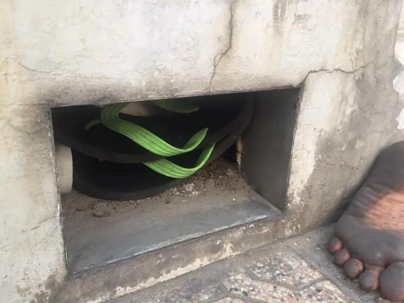 MC Trương Việt Phong gây xúc động với trẻ bụi đời ảnh 3