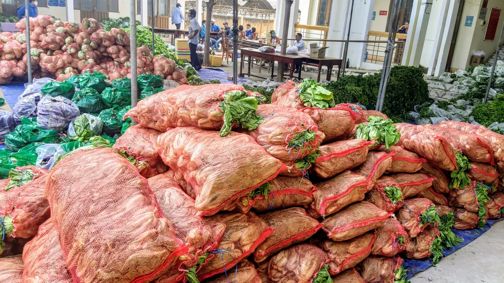 Phân phát 15 tấn rau củ đến người dân thôn Văn Lâm ảnh 6 Phân phát 15 tấn rau củ đến người dân thôn Văn Lâm ảnh 6