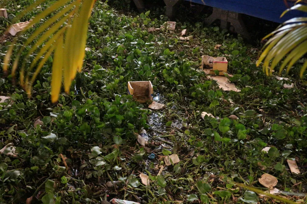 Bên cạnh lục bình, nhiều loại rác sinh hoạt đọng lại lâu ngày gây hôi thối, mất mỹ quan đô thị. Ảnh: MINH THANH