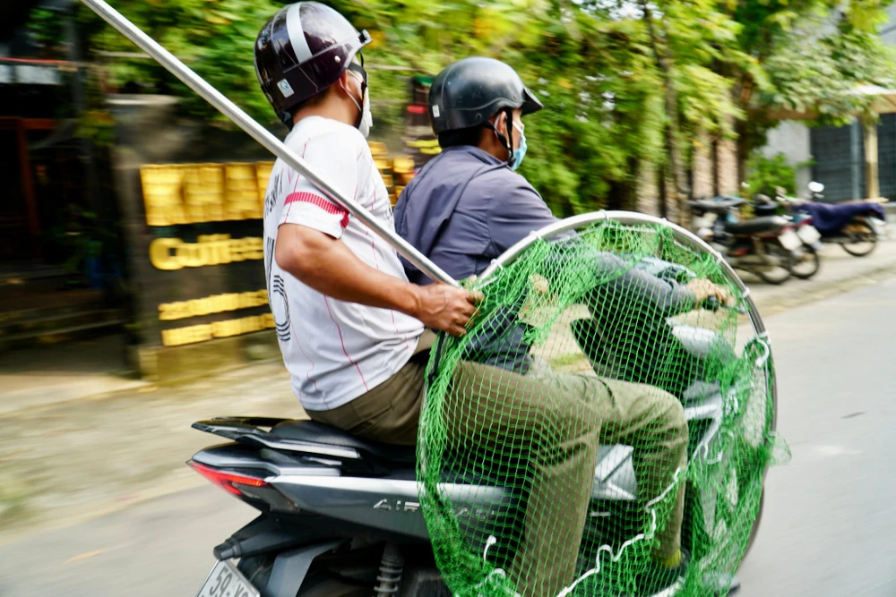 Vào lúc 15 giờ đội bắt chó thả rông của phường Hiệp Bình Chánh xuất phát. Đội gồm 2 xe máy 1 xe bán tải và 1 xe tải. Ảnh: HUỲNH THƠ