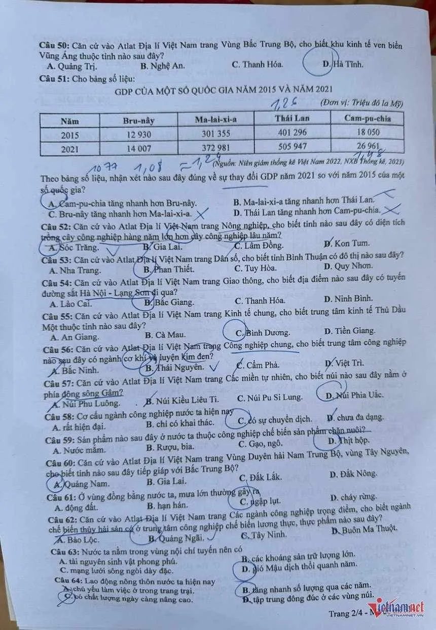 dl2.jpg