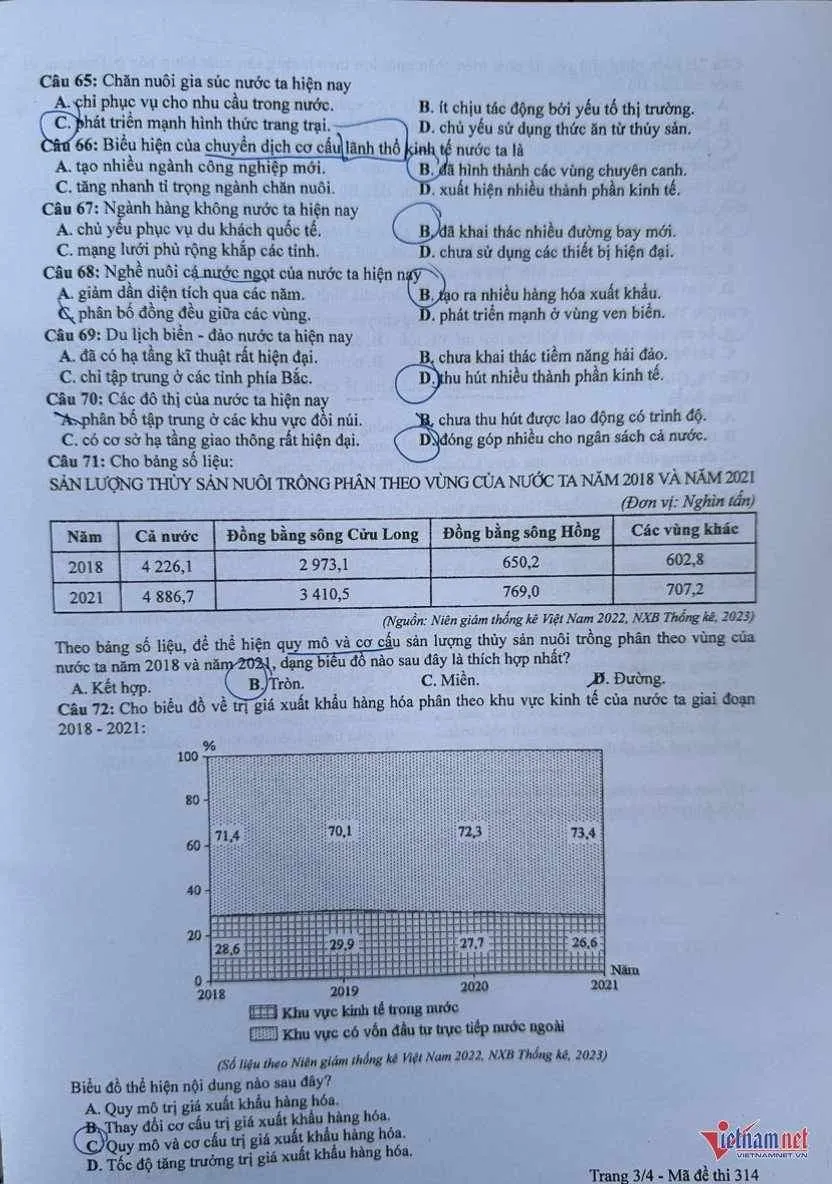 dl3.jpg