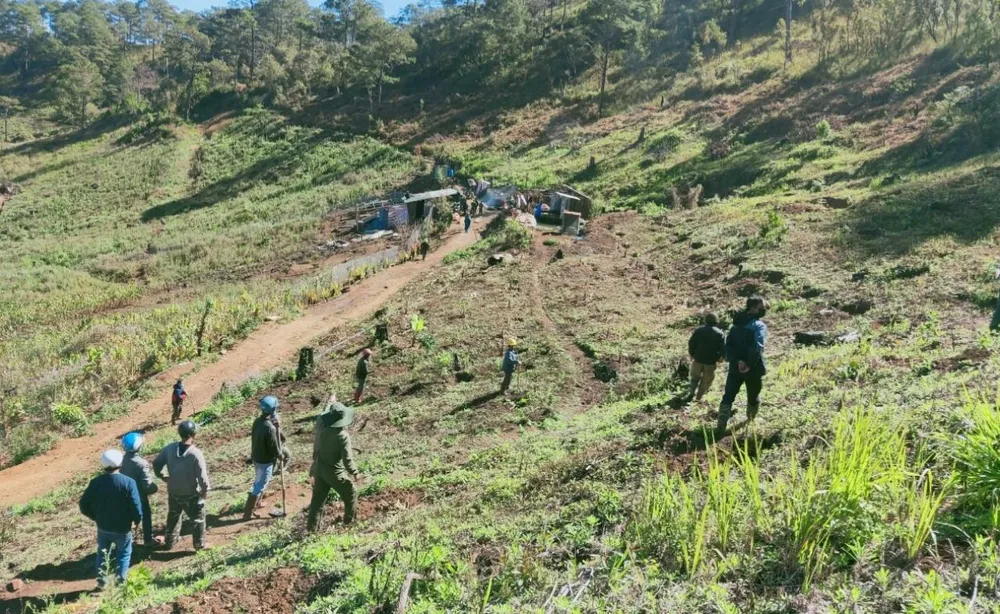 Tỉnh Lâm Đồng quyết tâm chặn đứng nạn phá rừng