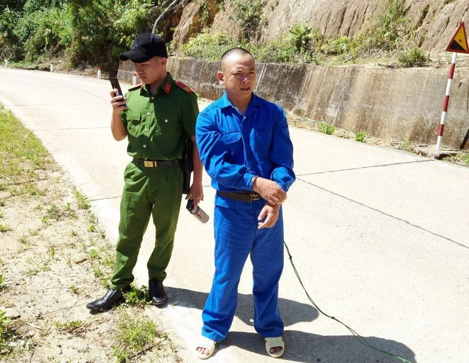 Trần Lê Thanh Tú là kẻ chủ mưu vụ phá rừng đầu nguồn