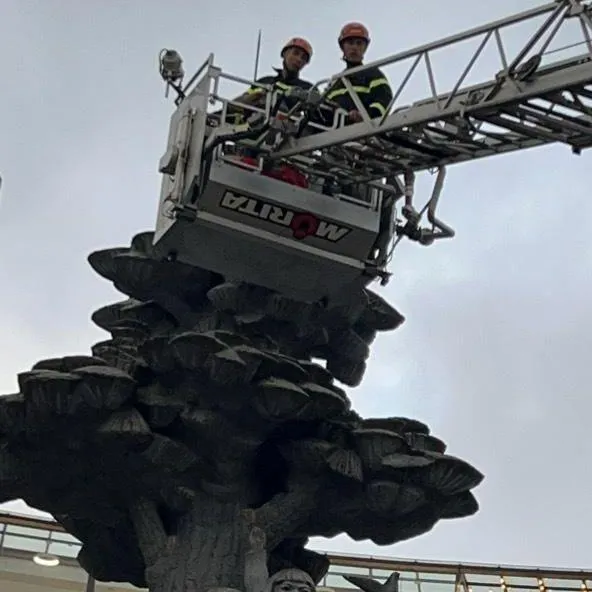 Lực lượng cứu hộ phải dùng thang máy để đưa người đàn ông xuống đất an toàn. Ảnh VT