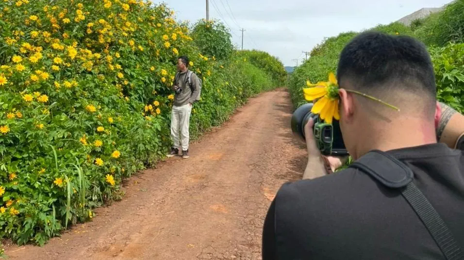 ...Và cả những người yêu nghệ thuật, muốn có cho mình một bộ ảnh mùa vàng trên cao nguyên xanh. Ảnh: DŨNG NGUYỄN