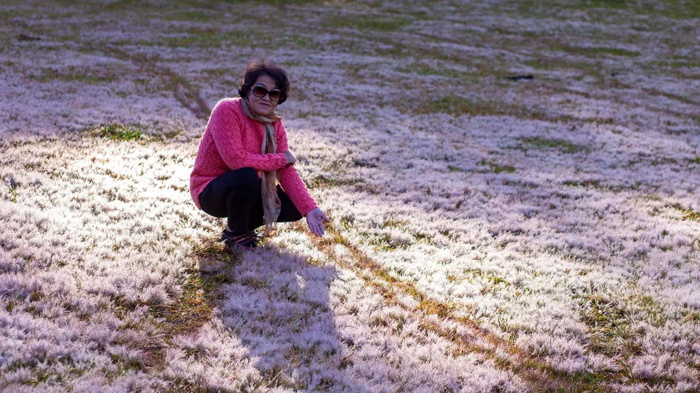 Du khách thích thú với những thảm cỏ hồng. Ảnh PY TRẦN