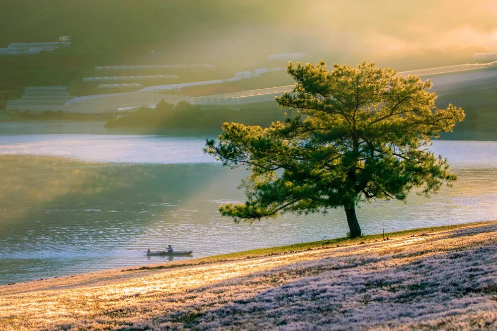 Khi đến khu vực hồ Đan Kia- Suối Vàng vào đầu tháng 11, ngoài việc tham quan thung lũng Vàng, thác Ankroet, đập nước Suối Vàng, hồ Đan Kia, du khách đừng quên tận hưởng mùa đẹp nhất trong năm, mùa cỏ hồng. Ảnh: PY TRẦN