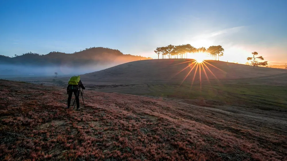 Bình minh bên đồi cỏ hồng. Ảnh: PY TRẦN