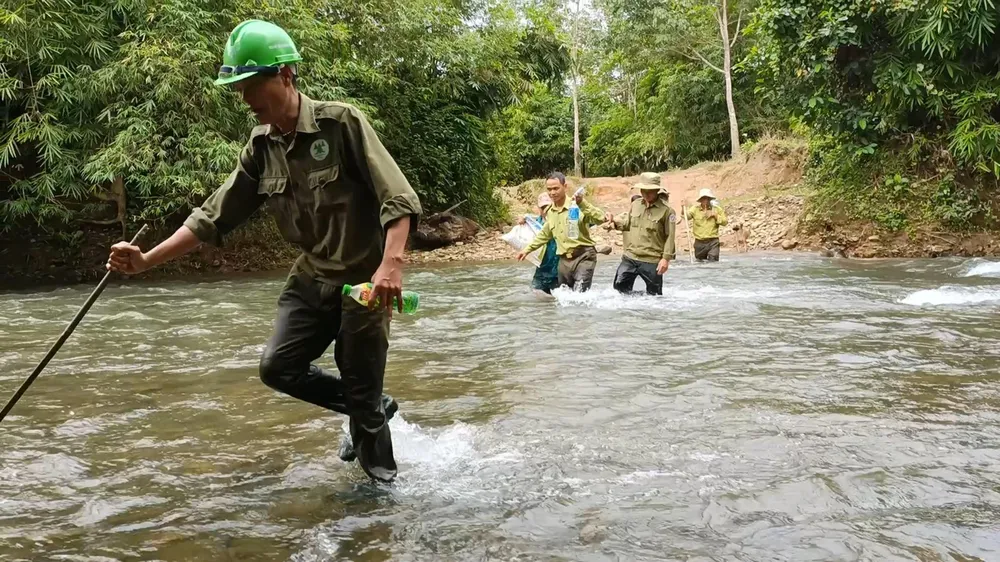 Ngành Kiểm lâm tỉnh Lâm Đồng đang nỗ lực vận động người dân giao nộp động vật hoang dã đang nuôi nhốt. Ảnh: VÕ TÙNG