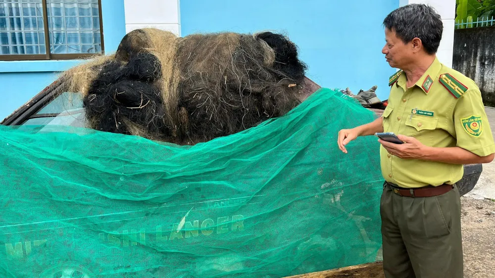 Ngoài động vật hoang dã, Hạt kiểm lâm Đạ Tẻh còn tuyên truyền, vận động người dân không thực hiện các hành vi săn, bắt, bẫy, mua, bán, vận chuyển, kinh doanh, tàng trữ, tiêu thụ các loài chim hoang dã, di cư nhằm bảo vệ các loài chim quý hiếm trong tự nhiên. Ảnh: VÕ TÙNG