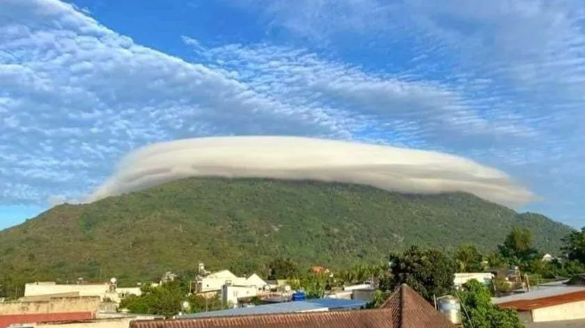 Ngọn núi này có nhiều loại cây, thú rừng. Bên cạnh đó, núi Chứa Chan còn là một địa danh có nhiều chứng tích lịch sử, là một trong những điểm tham quan của du khách gần xa.