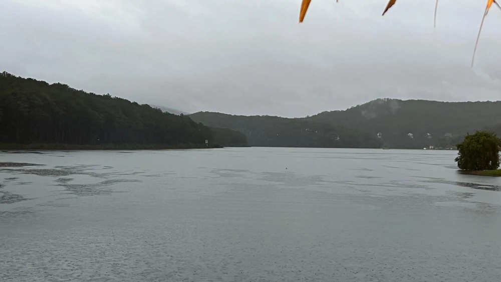 Nguồn nước hồ Tuyền Lâm đang bị ô nhiễm. Ảnh: VÕ TÙNG