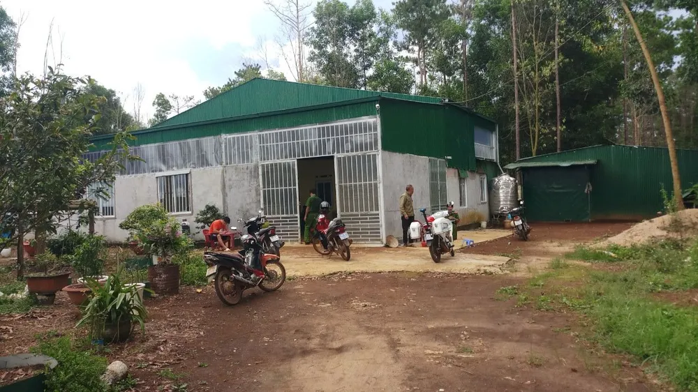 Gia đình ông Dạo đã lấn chiếm rừng, gây bức xúc dư luận ở địa phương: Ảnh: VT