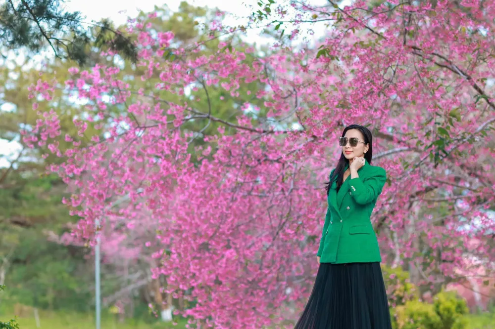 Một góc Đại học Đà Lạt. Ảnh: QUANG ĐÀ LẠT